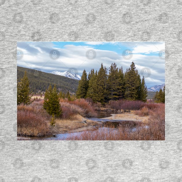 Autumn in Yellowstone National Park Mountains by SafariByMarisa